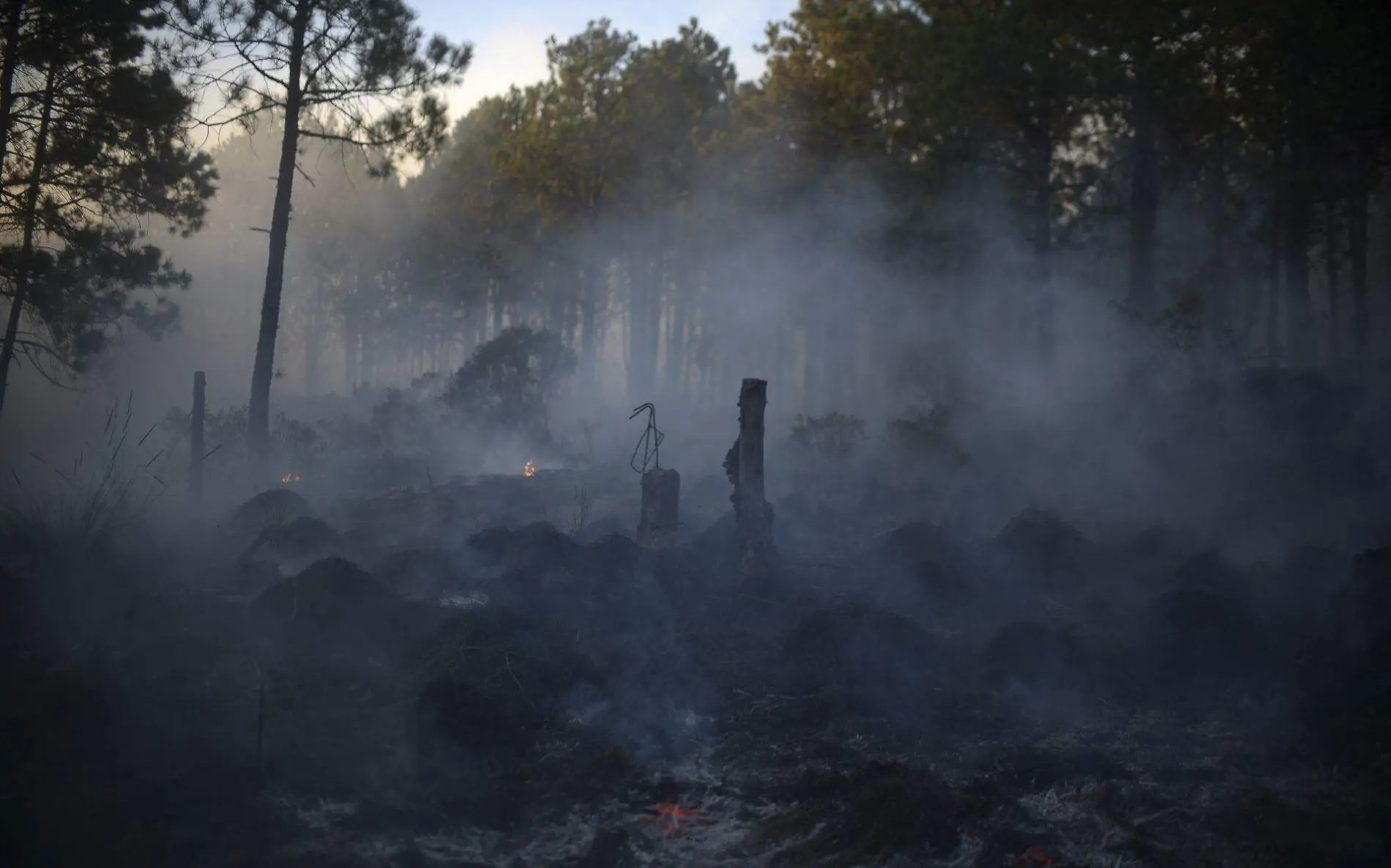 694064_Las Vigas Incendio Forestal-4_web